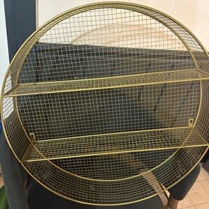 Target Gold Wireframe Wall Shelf circle rare